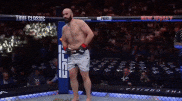 The Professional Ufc GIF