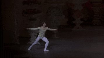 nutcracker GIF by New York City Ballet