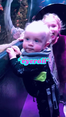 Debra Paynter The Social VA GIF