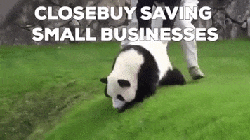 Panda GIF