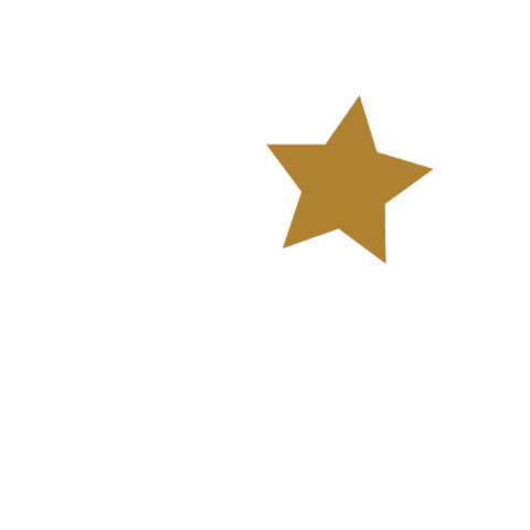 Stars Sticker by Visit Haarlem