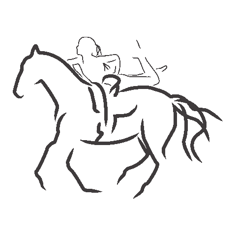 Horse Sticker