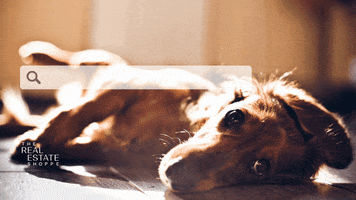 Realestatewithpets GIF by The Real Estate Shoppe