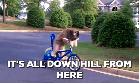 Image result for downhill gif