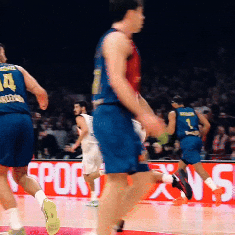 Crvena Zvezda Kkcz GIF