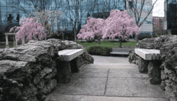 GIF by Drexel University, Elkins Park Campus