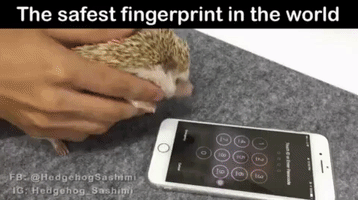 Hi-Tech_Mail_Ru  GIF