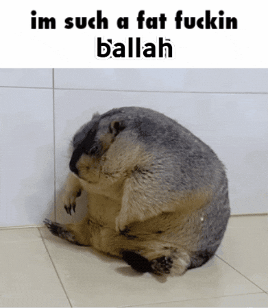 Fat GIF