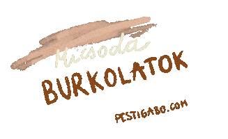 Pesti_Gabo Sticker