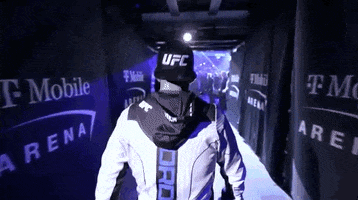 Sport GIF by UFC