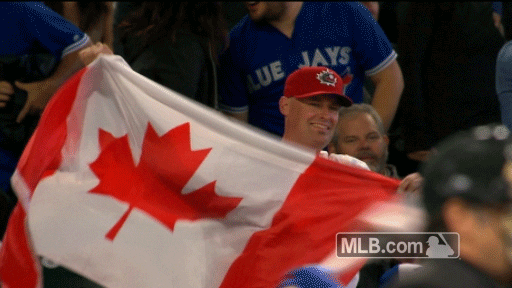 Canadian Flag Fan GIF by MLB - Find & Share on GIPHY