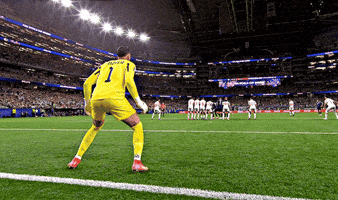Lionel Messi Pessi GIF