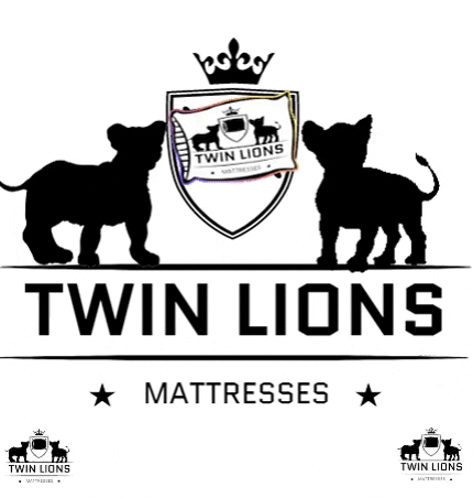 Twinlions GIF by Twin Lions Mattresses