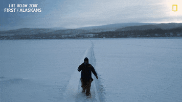 Snow Winter GIF by National Geographic Channel