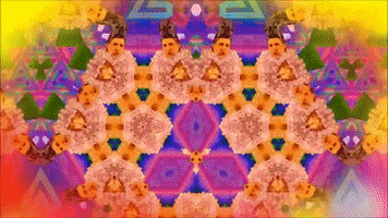 Music Video Queer GIF by ladypat