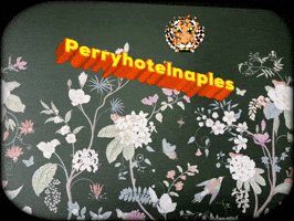 Perry Hotel Naples GIF
