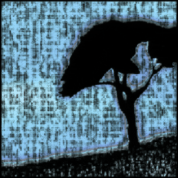 Stars Night GIF by Orla in Berlin