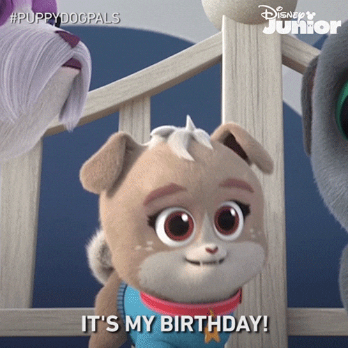 Excited Happy Birthday GIF by Disney Jr.