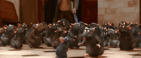 Rats Ratatouille GIF by Disney Pixar - Find & Share on GIPHY