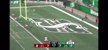 Saskatchewan Roughriders Touchdown GIF