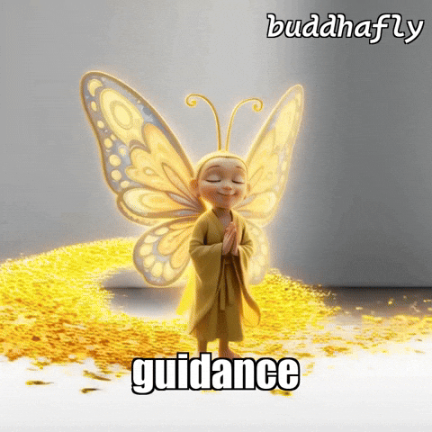 Light GIF by BuddhaFlyJourney