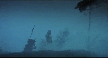 Coconut GIF