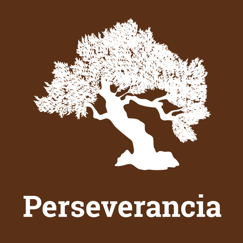 Pir GIF by be shared