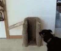 [Obrazek: 200w.webp]