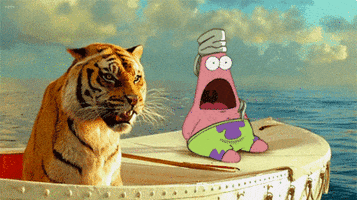 scared life of pi GIF