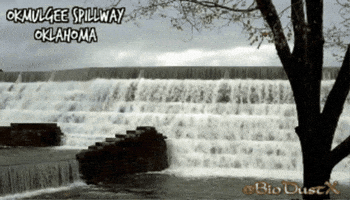 Ok GIF