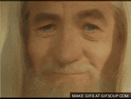 proud lord of the rings GIF