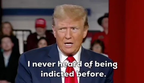 Donald Trump GIF