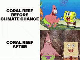 SpongeBob gif. Two photos of SpongeBob and Patrick stacked. The top photo shows Patrick celebrating with SpongeBob next the phrase, “Coral reef before climate change.” Bottom photo shows a shriveled-up Patrick lying next to SpongeBob as they cry next to the phrase, “Coral reef after.”