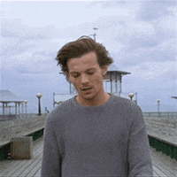 louis tomlinson GIF by One Direction
