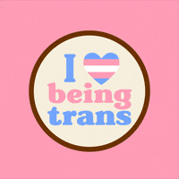Trans Day Of Visibility Feminist GIF by INTO ACTION