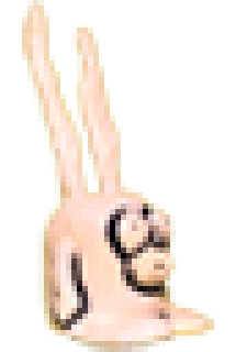 Chamachoongus GIF