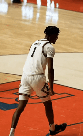 giphy.gif