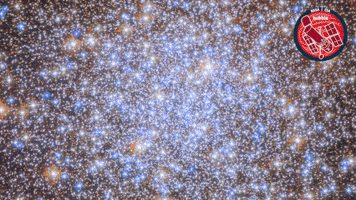Stars Glitter GIF by ESA/Hubble Space Telescope