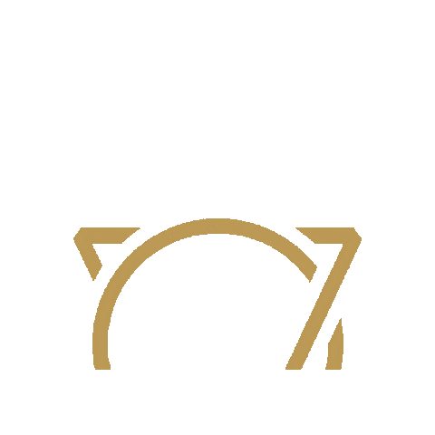 Vitalyc Medspa Sticker