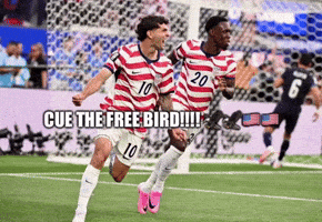 Usa America GIF