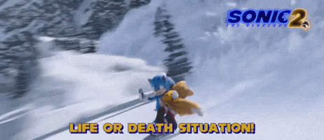 Sonic 2 Skiing GIF by Sonic The Hedgehog