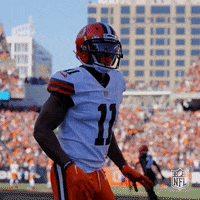 Happy Cleveland Browns GIF by NFL