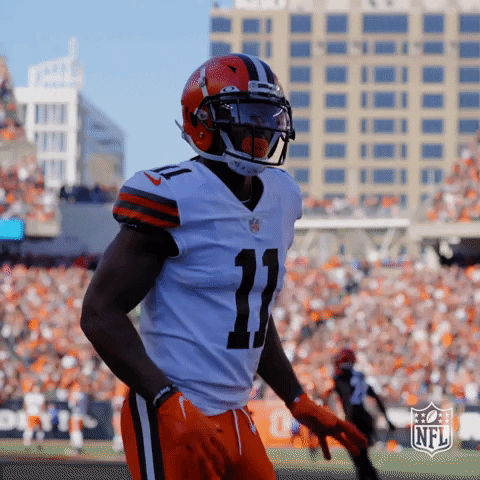 Happy Cleveland Browns GIF by NFL