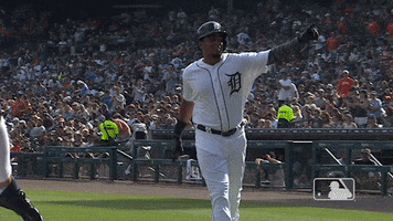 Game Win GIF by Detroit Tigers