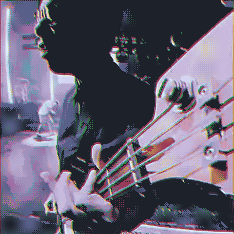 Bassist GIF