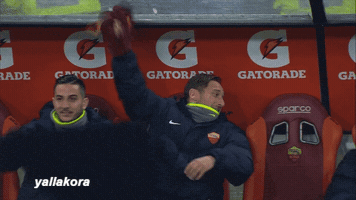 mosalatif  GIF