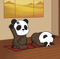 Yoga Panda GIF by Pandu Pandas
