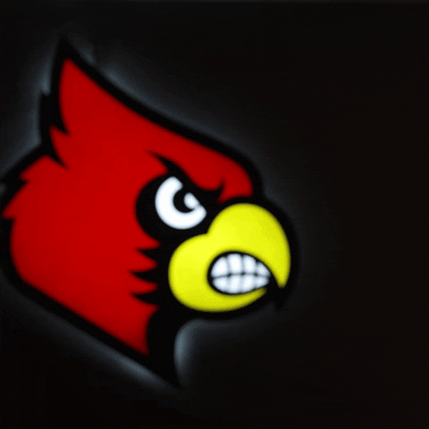 Walk Up University Of Louisville GIF by Louisville Cardinals