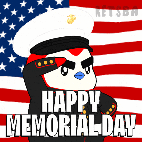 United States Usa GIF by Retsba