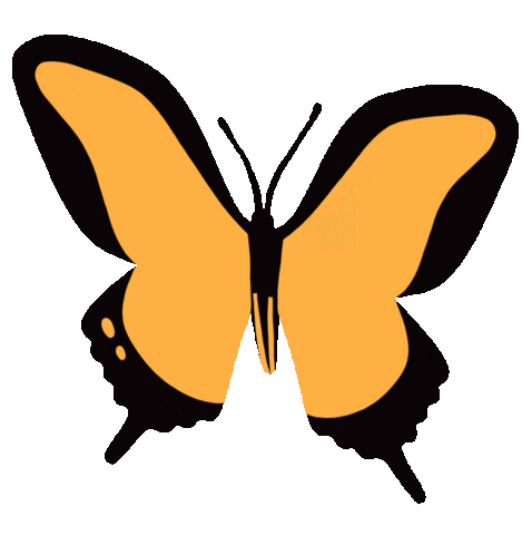 Butterfly Gm Sticker